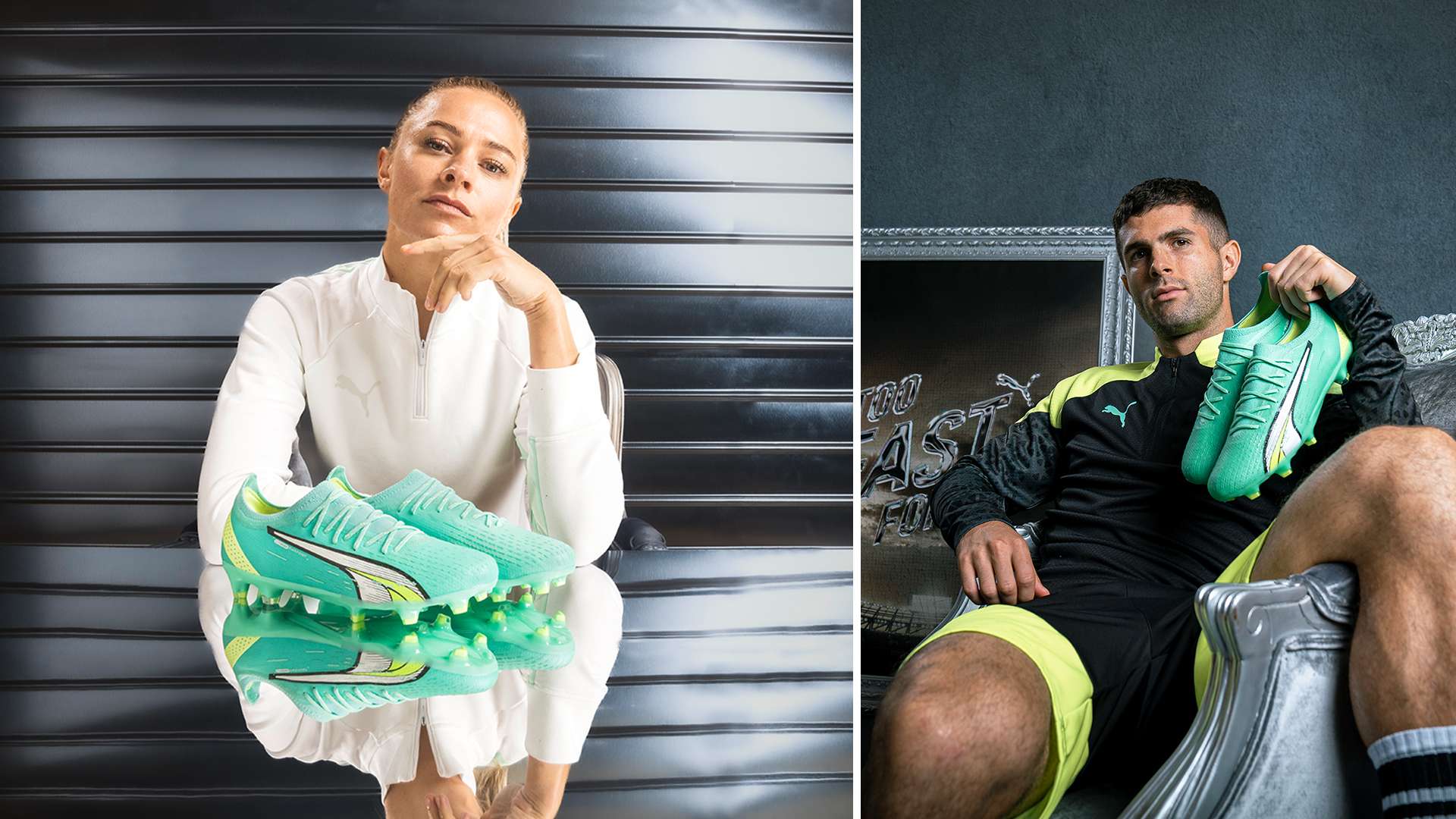 加在这个豪 加在这个豪